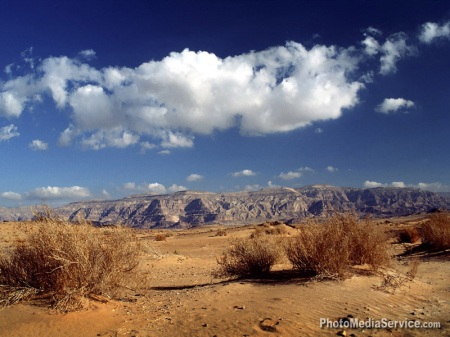 33.Sinai desert